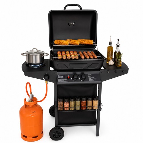 Barbecue gas pietra - pietra, 2